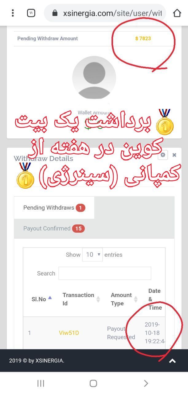 کمپانی سینرژیا روزی چند دلار 