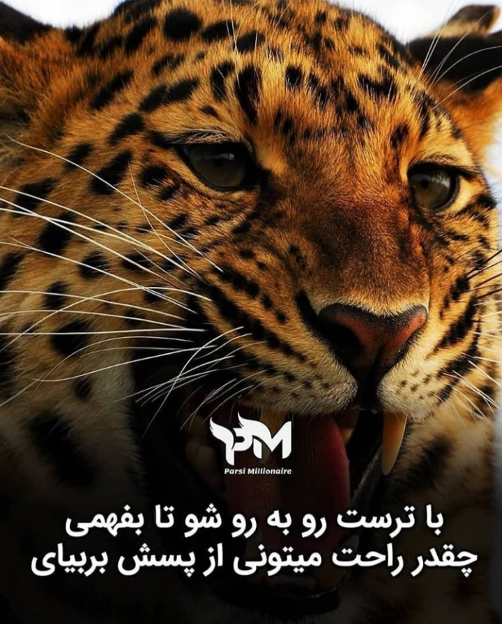 رویارویی با ترس