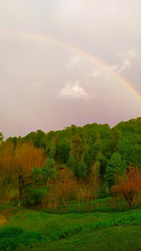 طبیعت گیلان