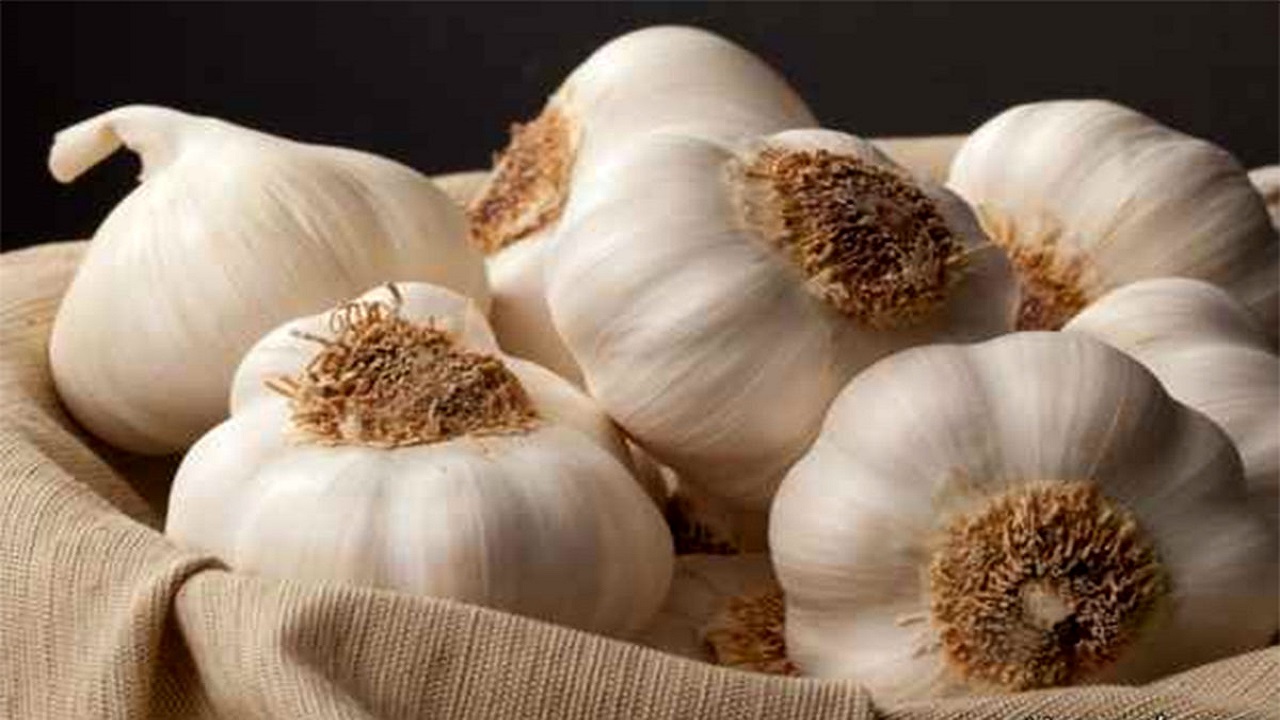 چرا سیر بخوریم؟