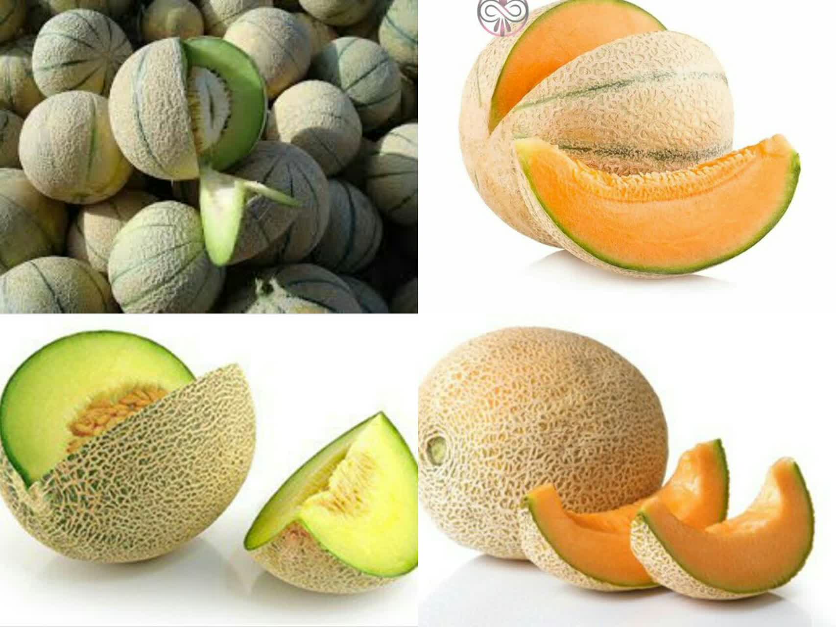 انواع طالبی