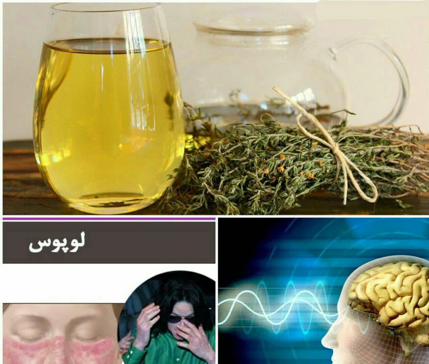 چای آویشن 