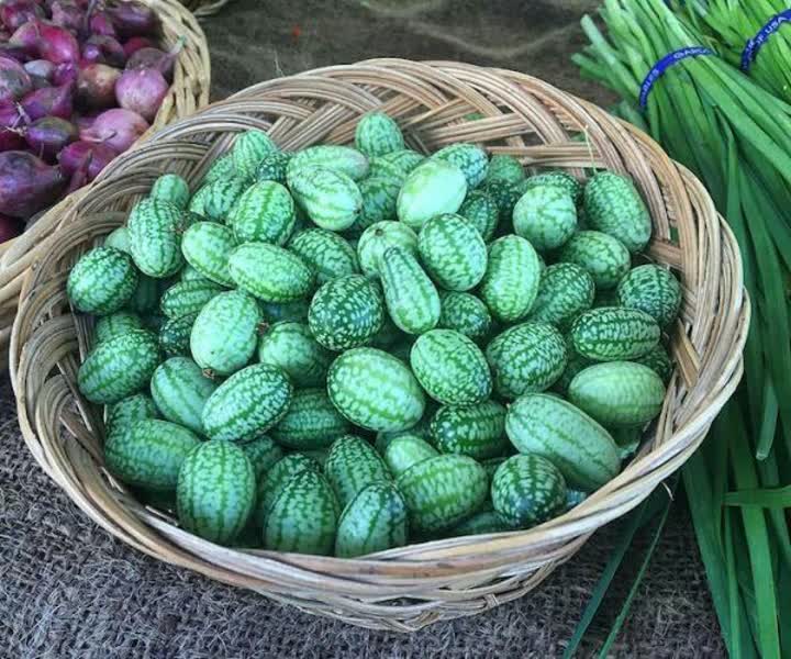 خیارترشی مکزیکی به شکل هندوانه 