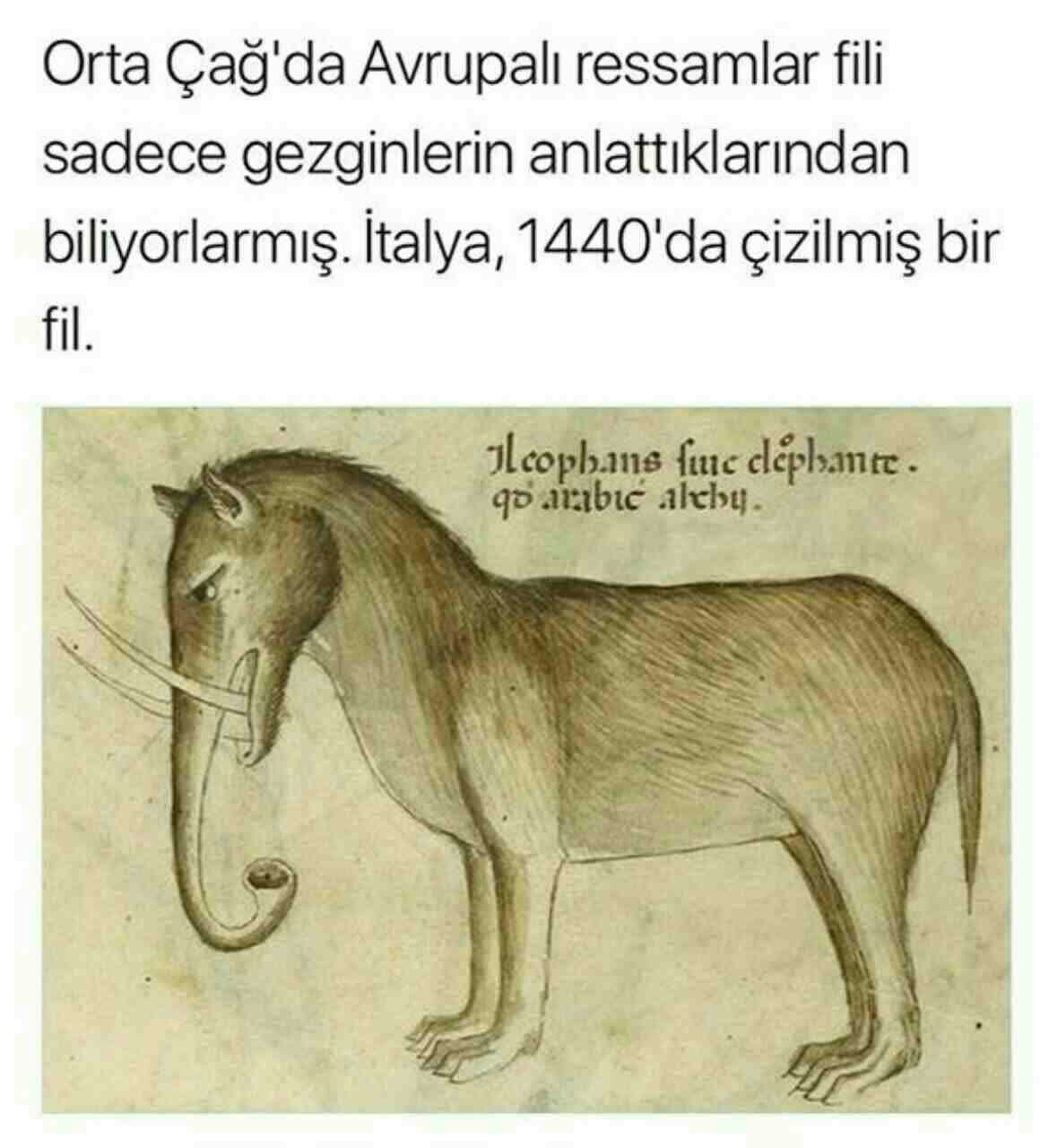 نقاشان اروپایی که فیل را ندیده