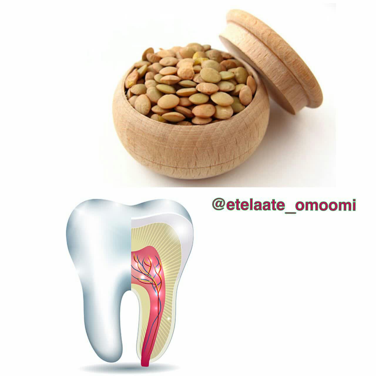 فواید عدس