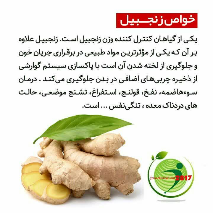 مزایای نوشیدن آب زنجبیل قبل از صبحانه