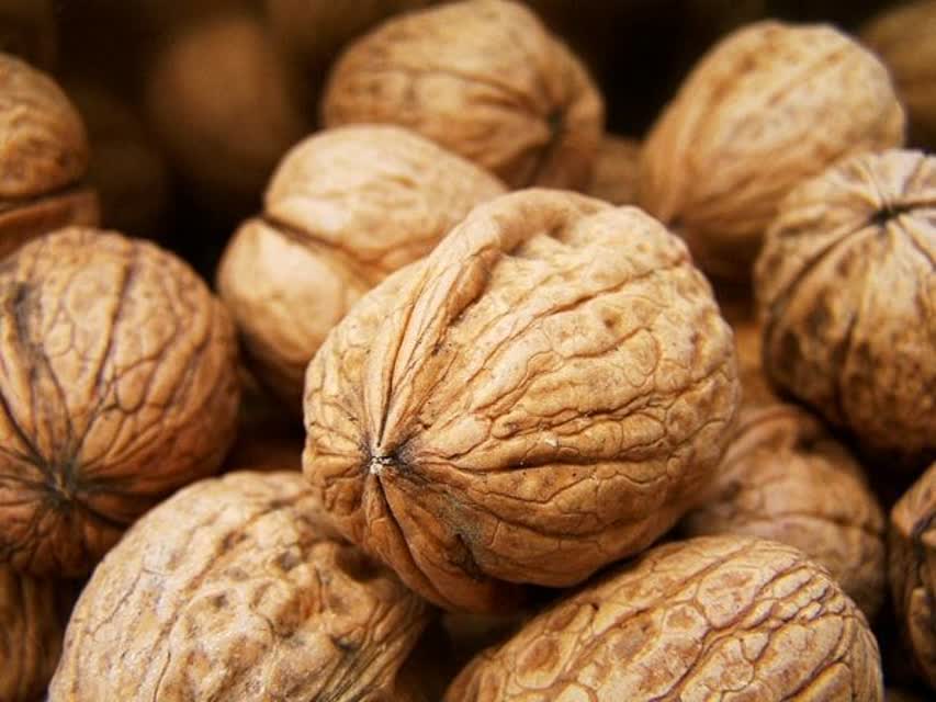 گردو برای پیشگیری از آلزایمر 