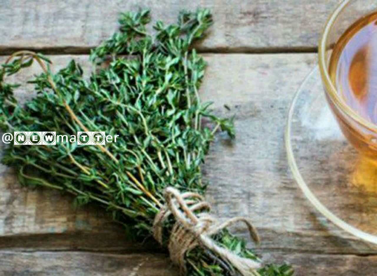 چای اویشن