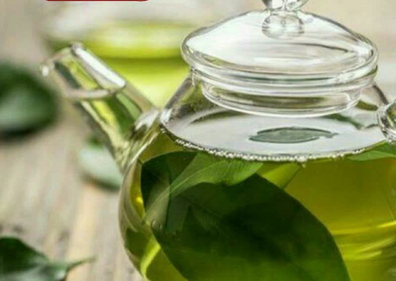 چای سبز از چاقی جلوگیری میکند