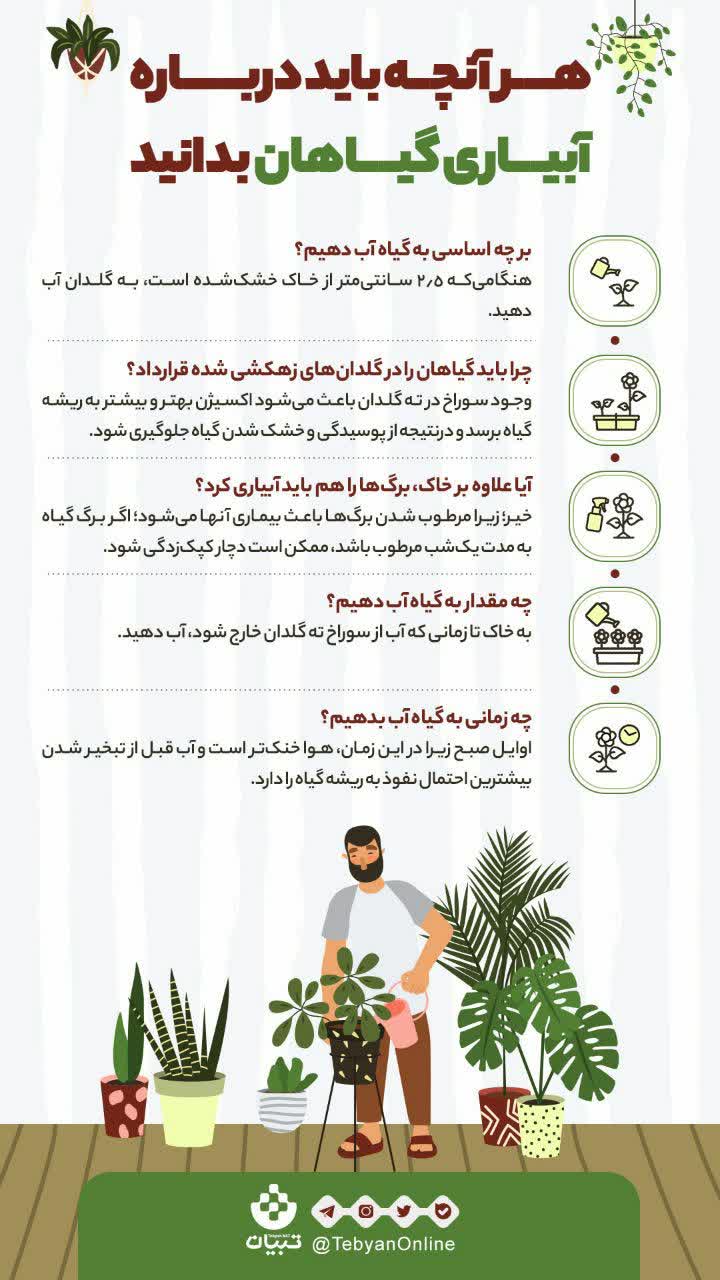 فوت و فن آبیاری به گلدونای آپارتمانی