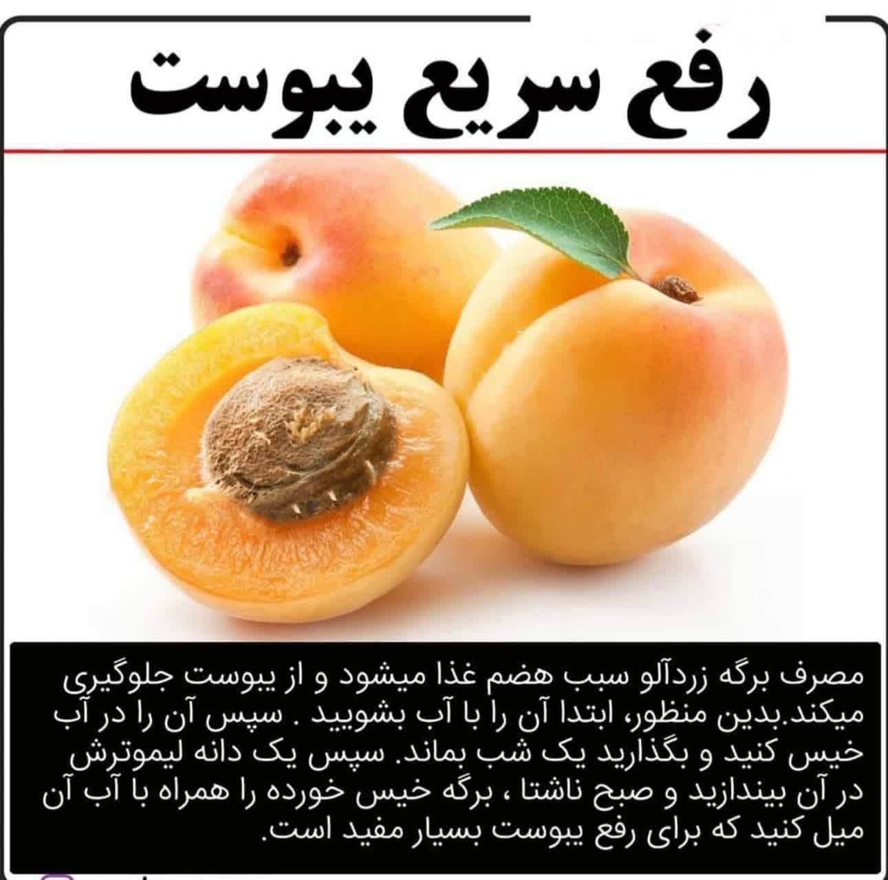 رفع سریع یبوست با برگه زردآلو