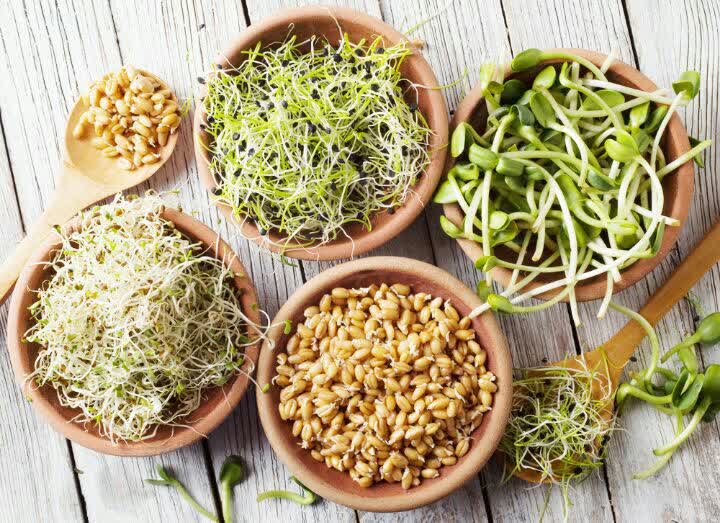 جوانه های پرخاصیت برای بدن 