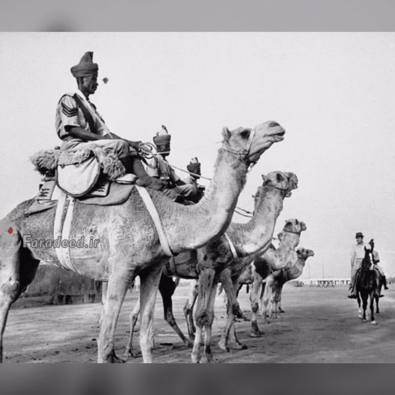 پلیس بحرین
