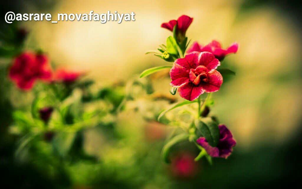 قانون طبیعت