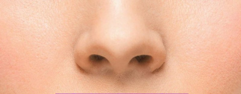 وظیفه حفره های بینی انسان