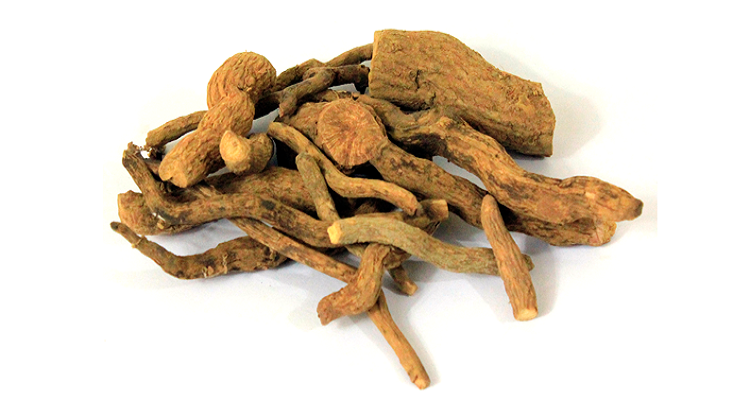 گیاهان دارویی - اسرول