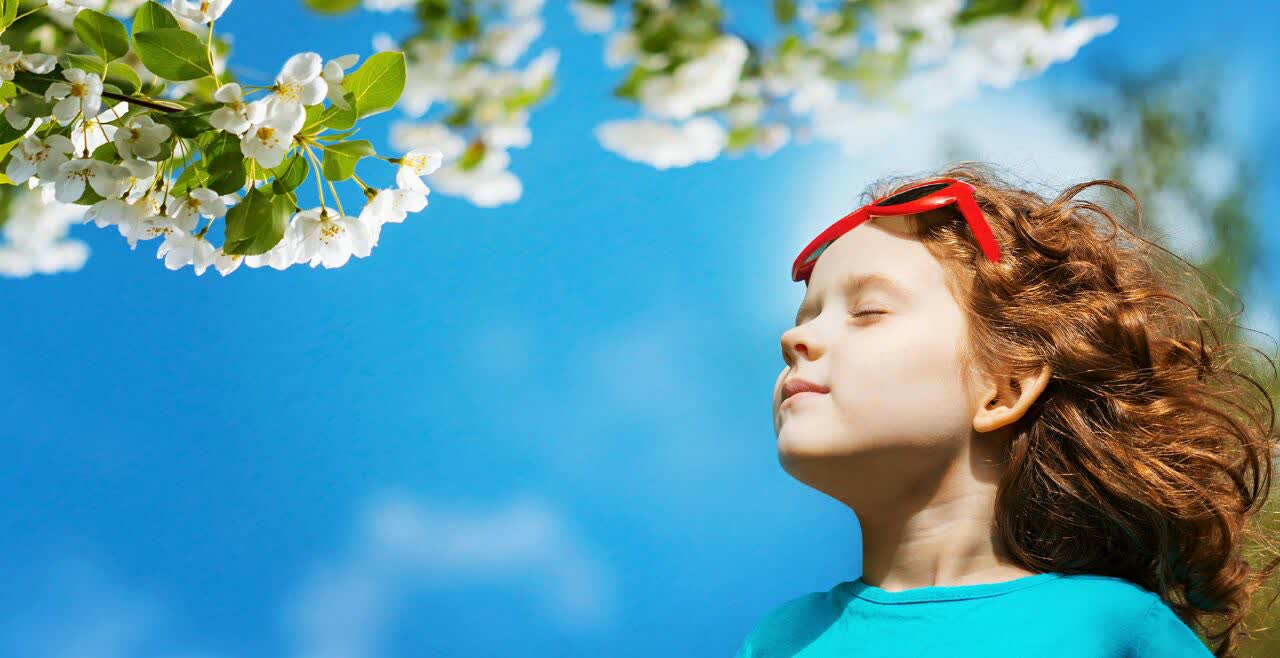 بوهای شگفت انگیز