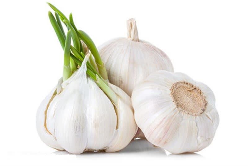 سیر اکسیر شفا بخش