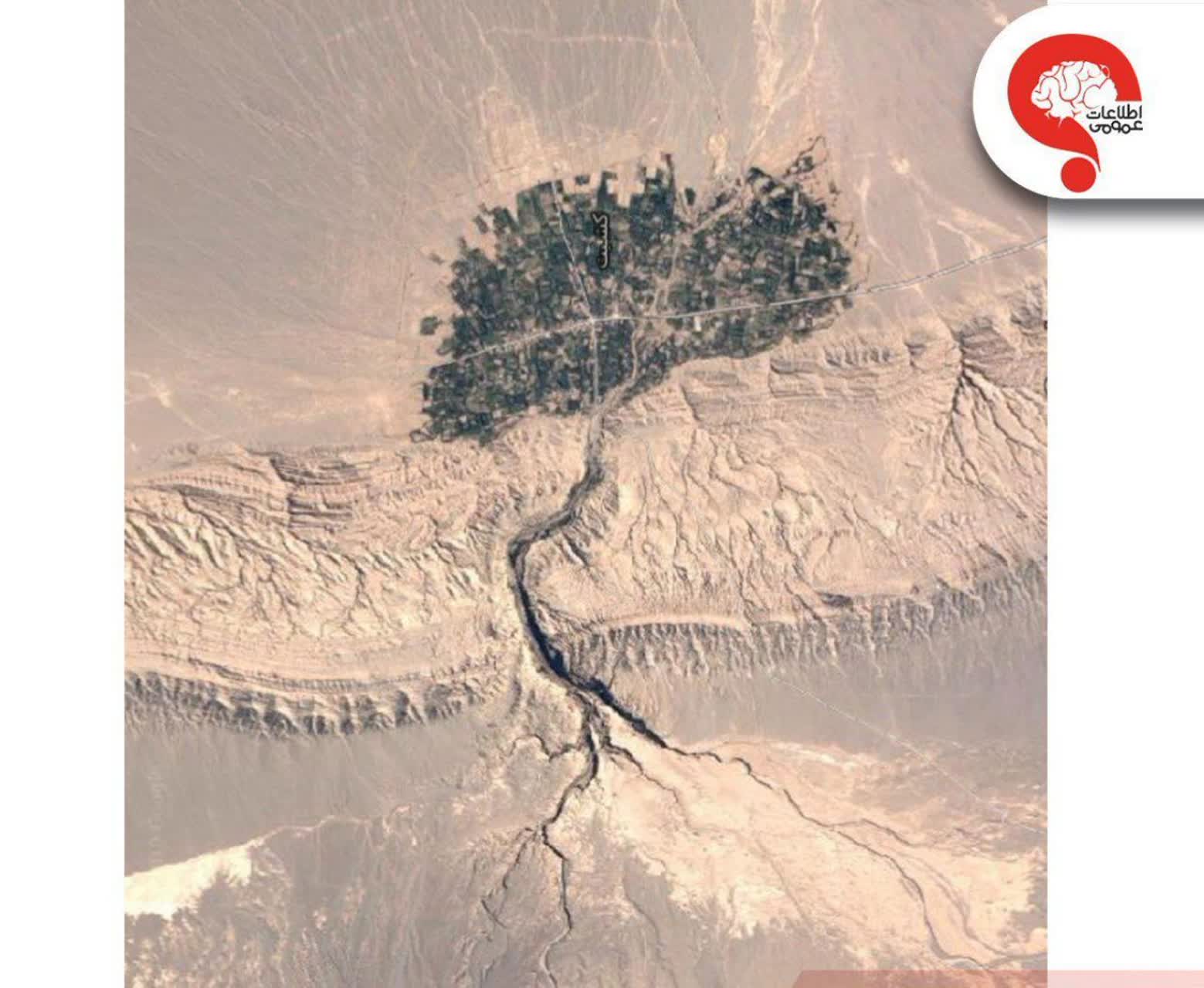روستایی شبیه به درخت
