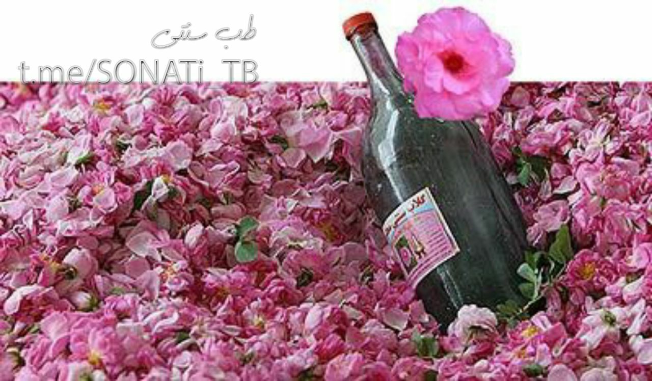 خواص گلاب