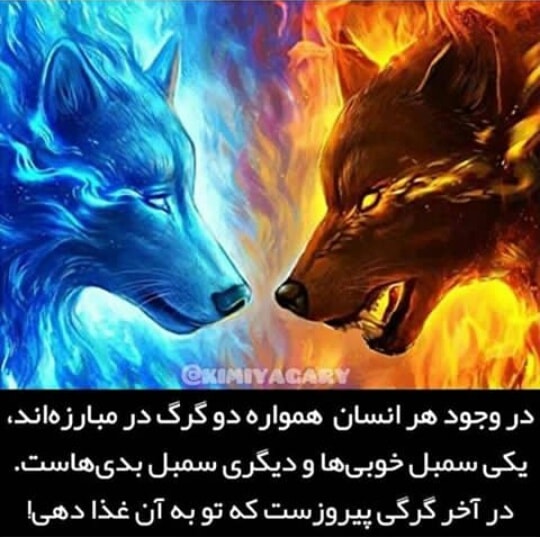 خودشناسی