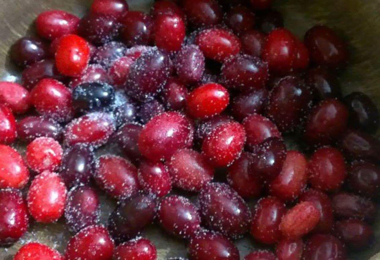 زغال اخته