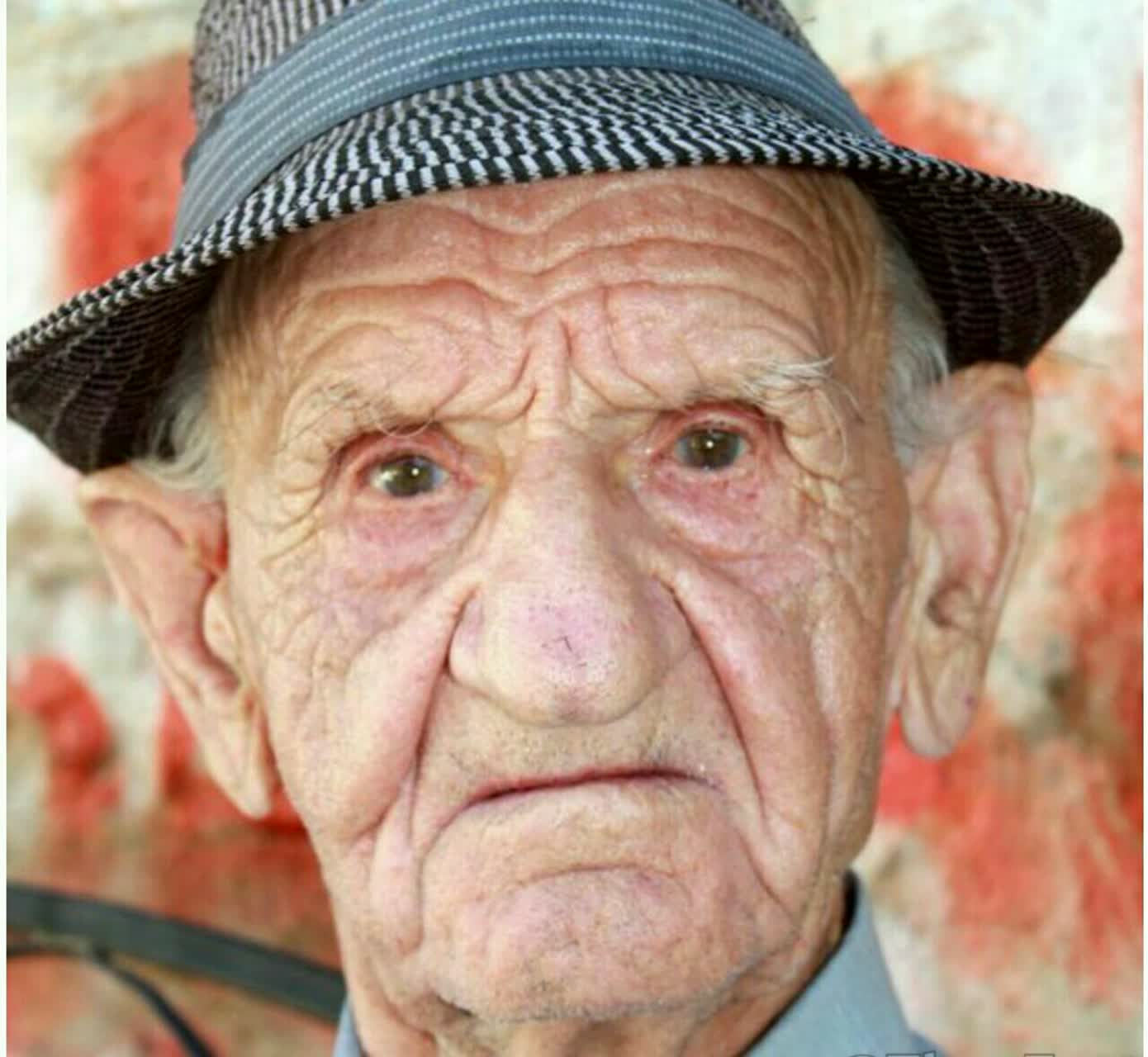گوش و بینی انسان 