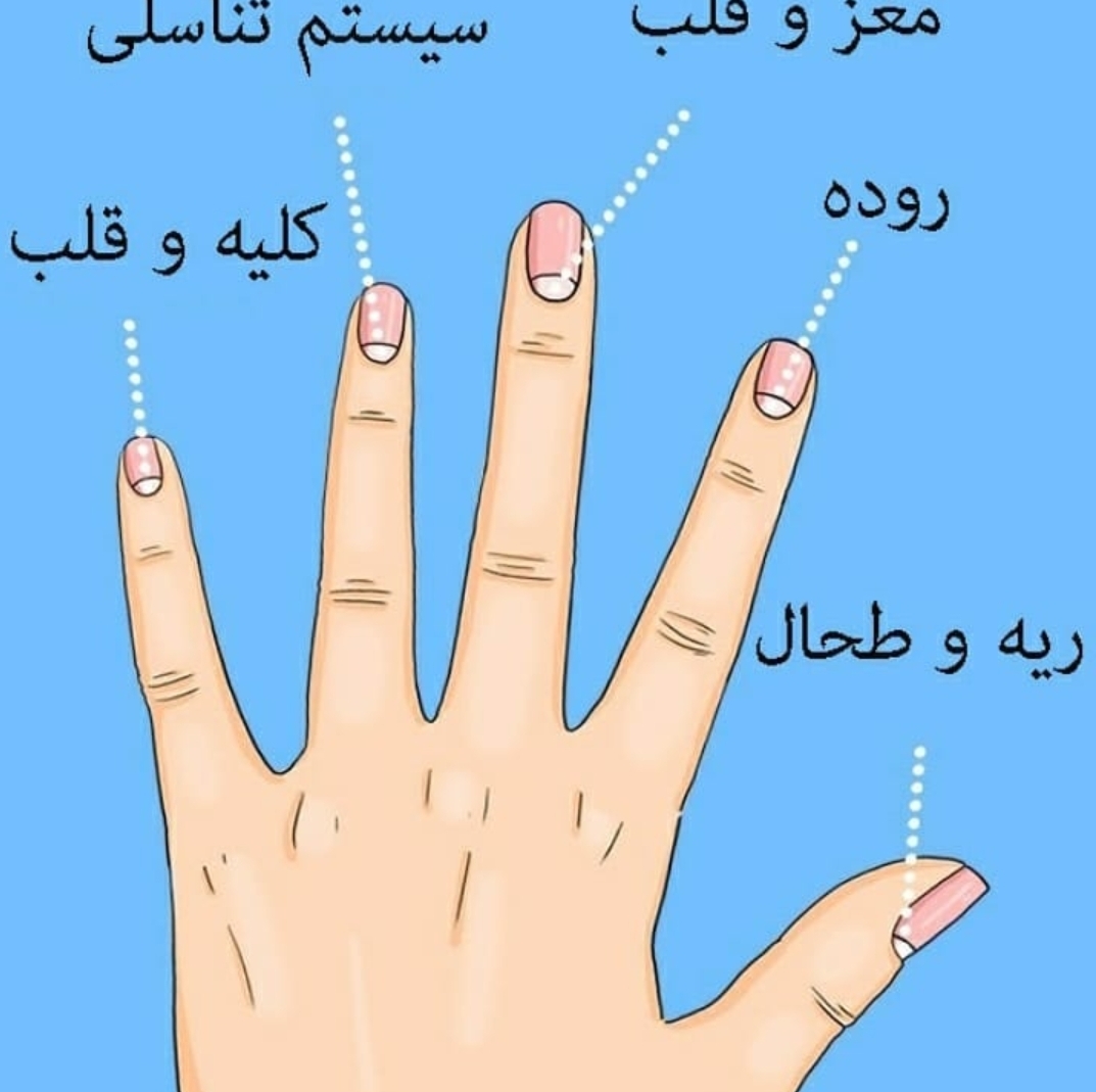 ناخن دست