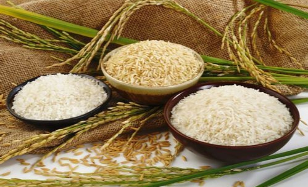 عوارض مصرف بی رویه برنج