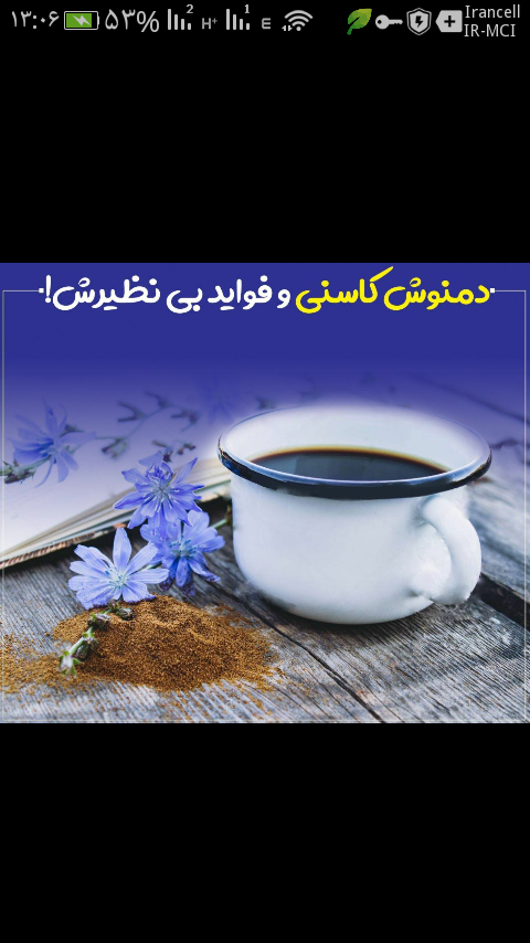 دمنوش کاسنی