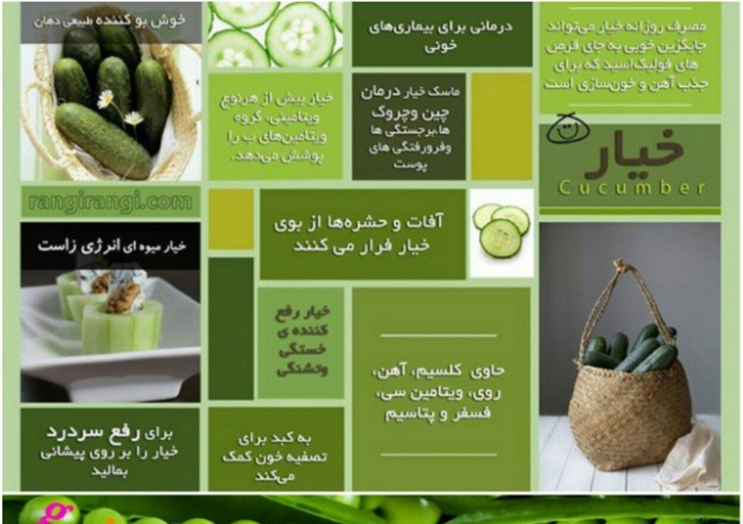 خواص خیار