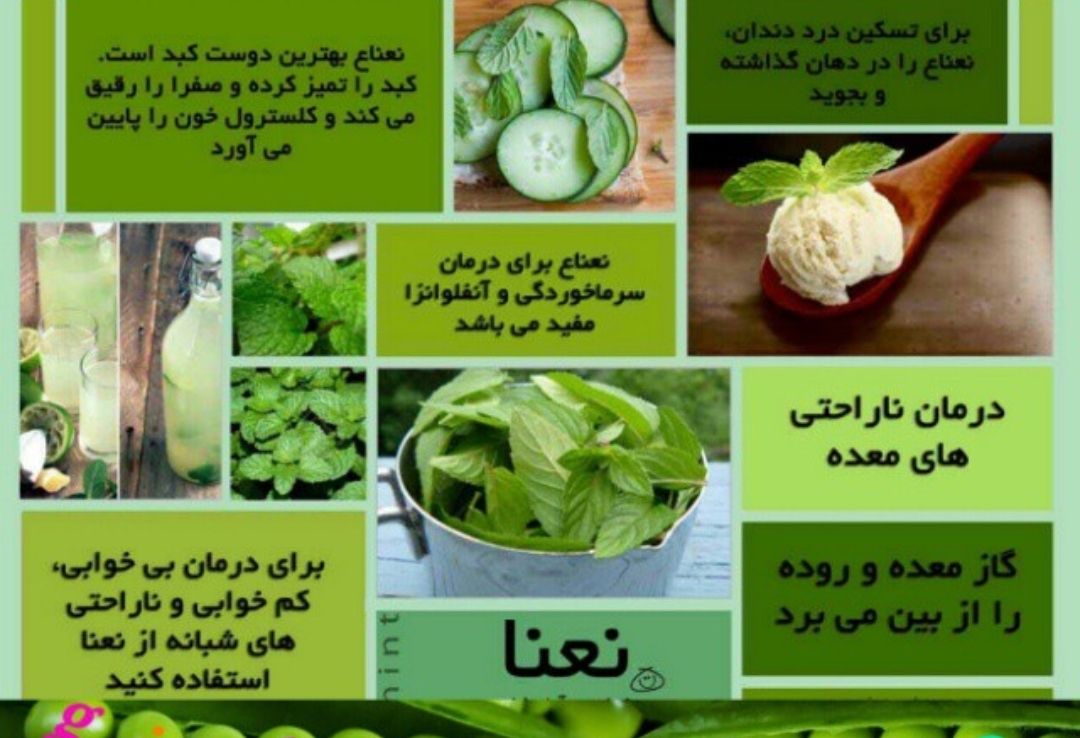 خواص نعنا