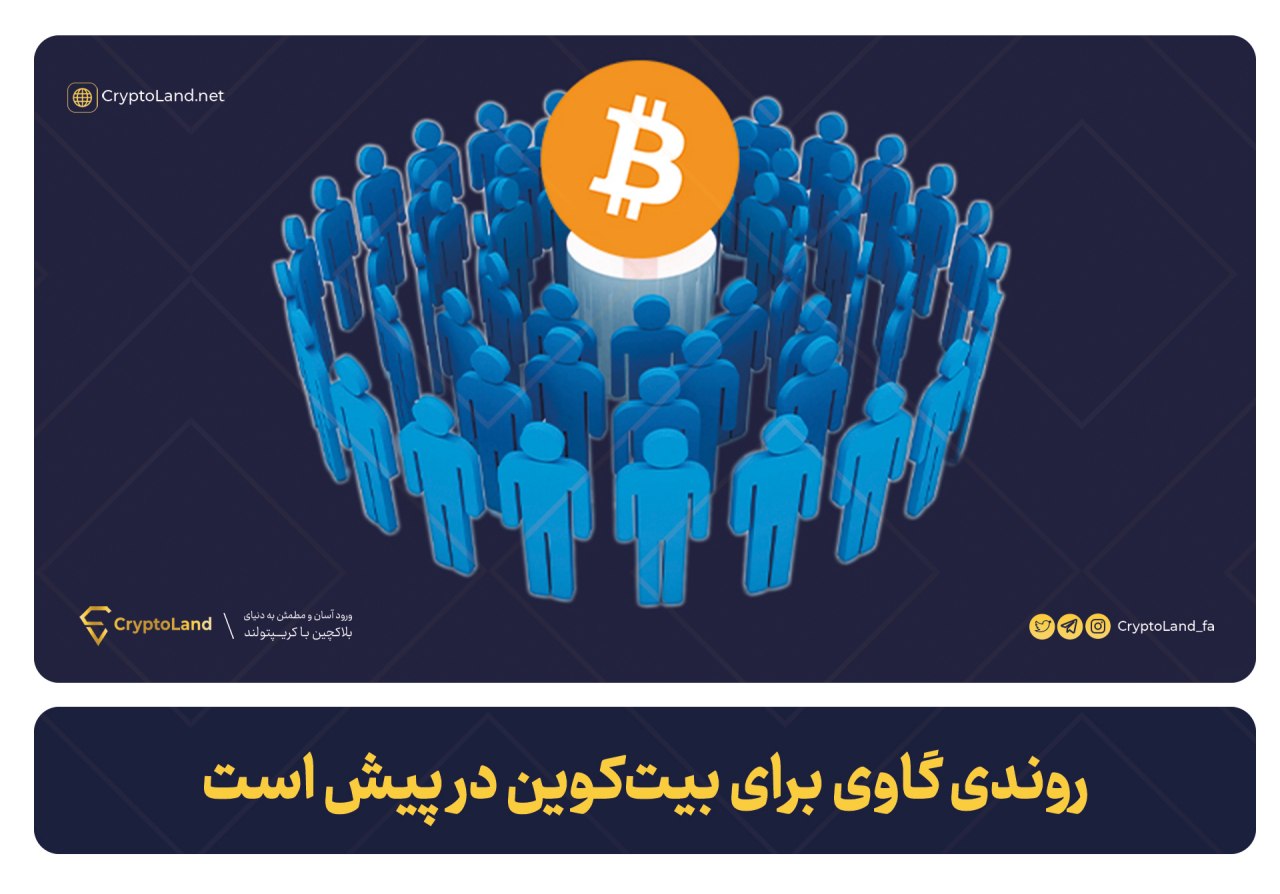 شروع روند گاوی بیت کوین