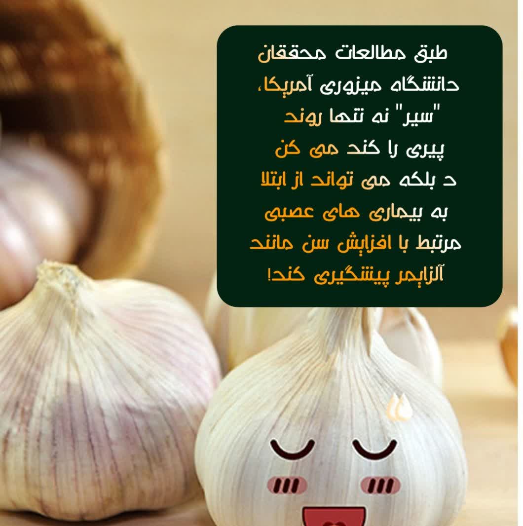 رابطه سیر با آلزایمر