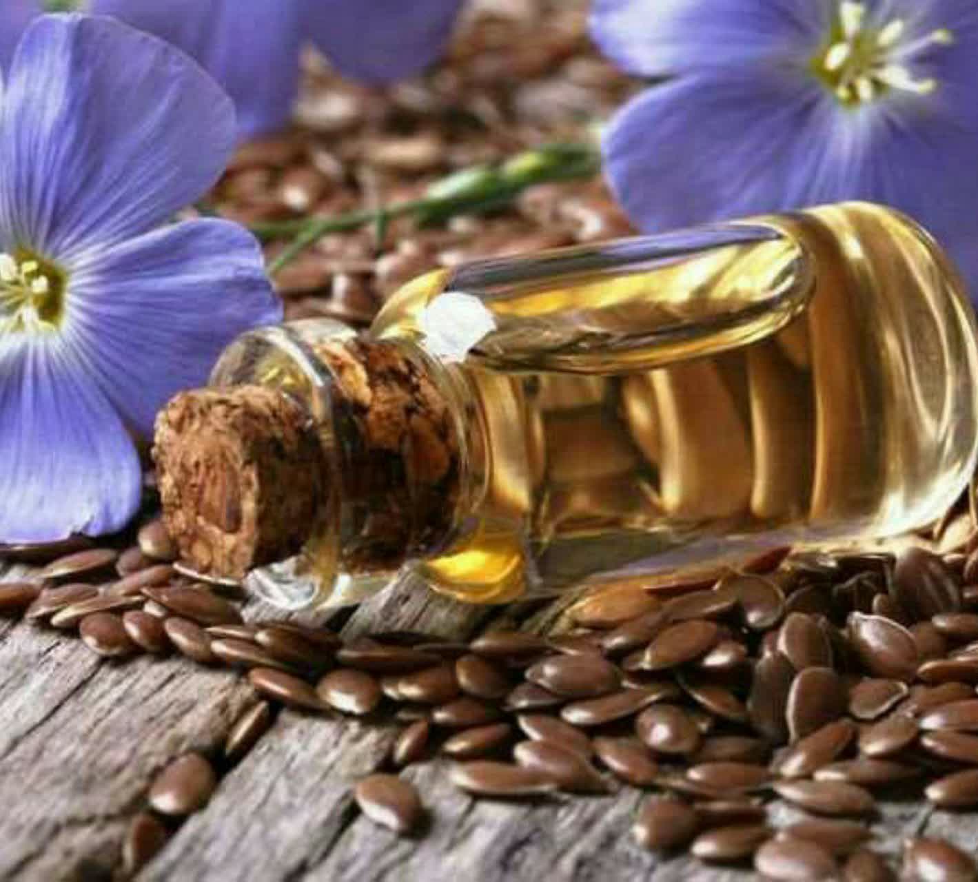پودر تخم کتان