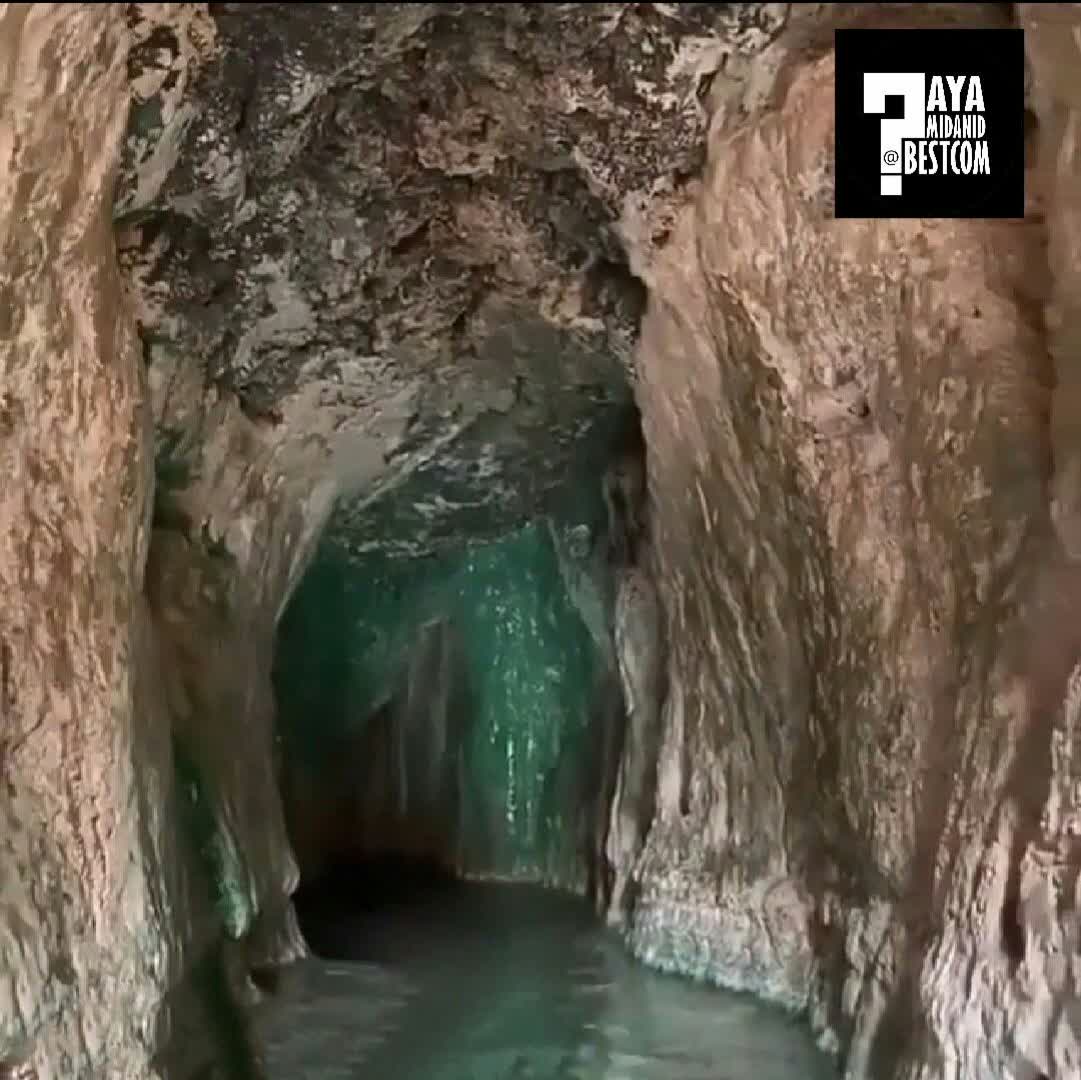 اعجاز طبیعت