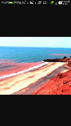 ساحل سرخ یاساحل خونین 