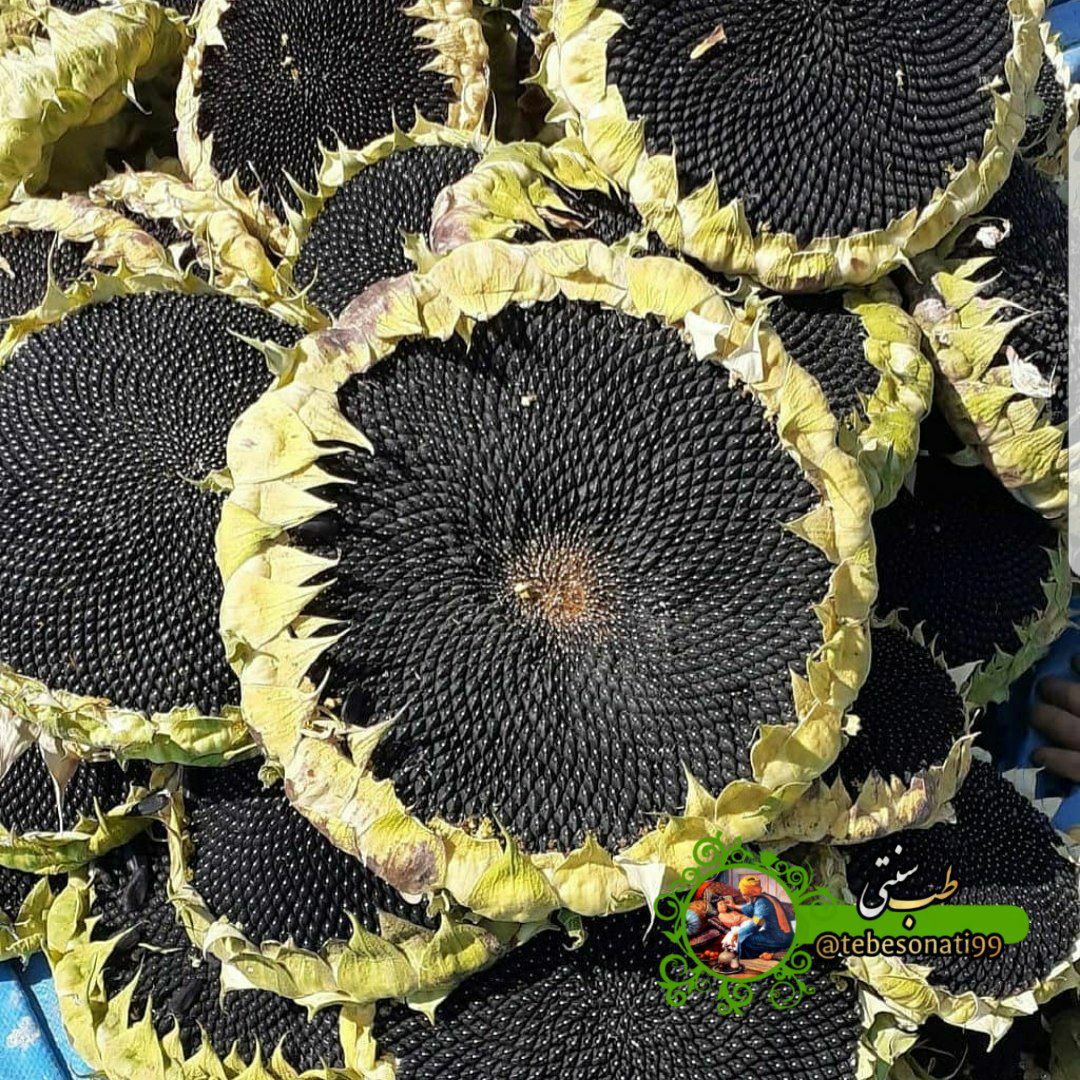 بمب اسید فولیک و آهن