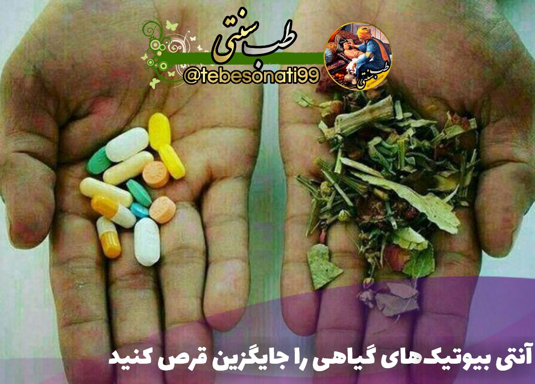 آنتی بیوتیک های گیاهی