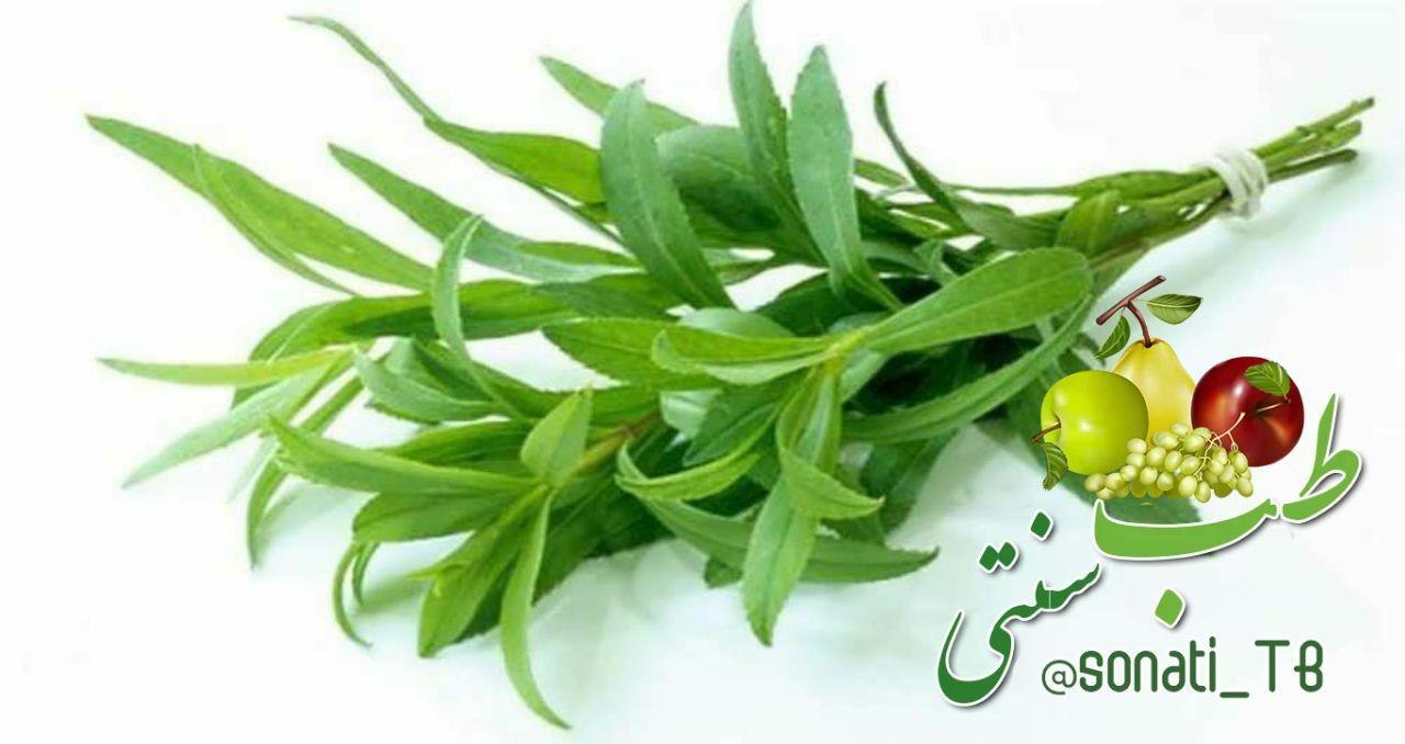 فواید مرزه