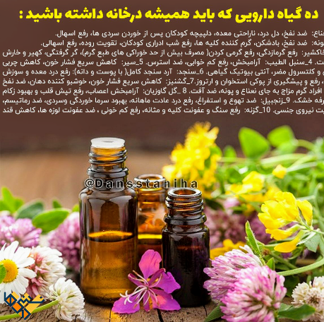 ده گیاه دارویی که باید همیشه درخانه باشد 