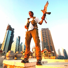استفاده از شاهین بین اعراب 