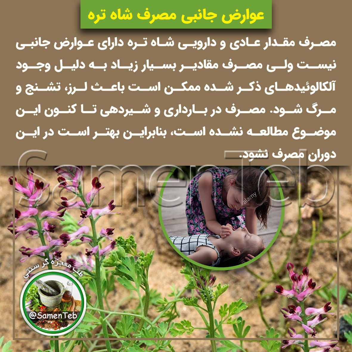 عوارض مصرف شاه تره