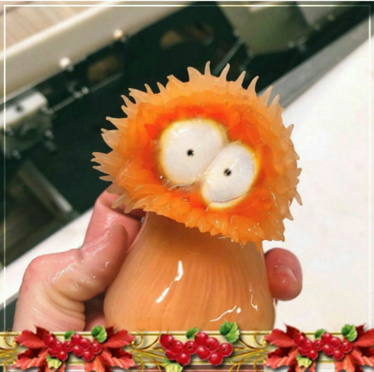 قضاوت از رو ظاهر 