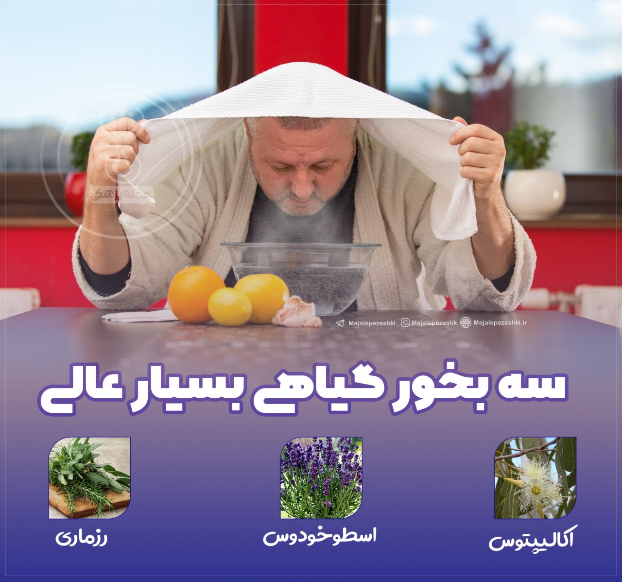 سه بخور گیاهی عالی
