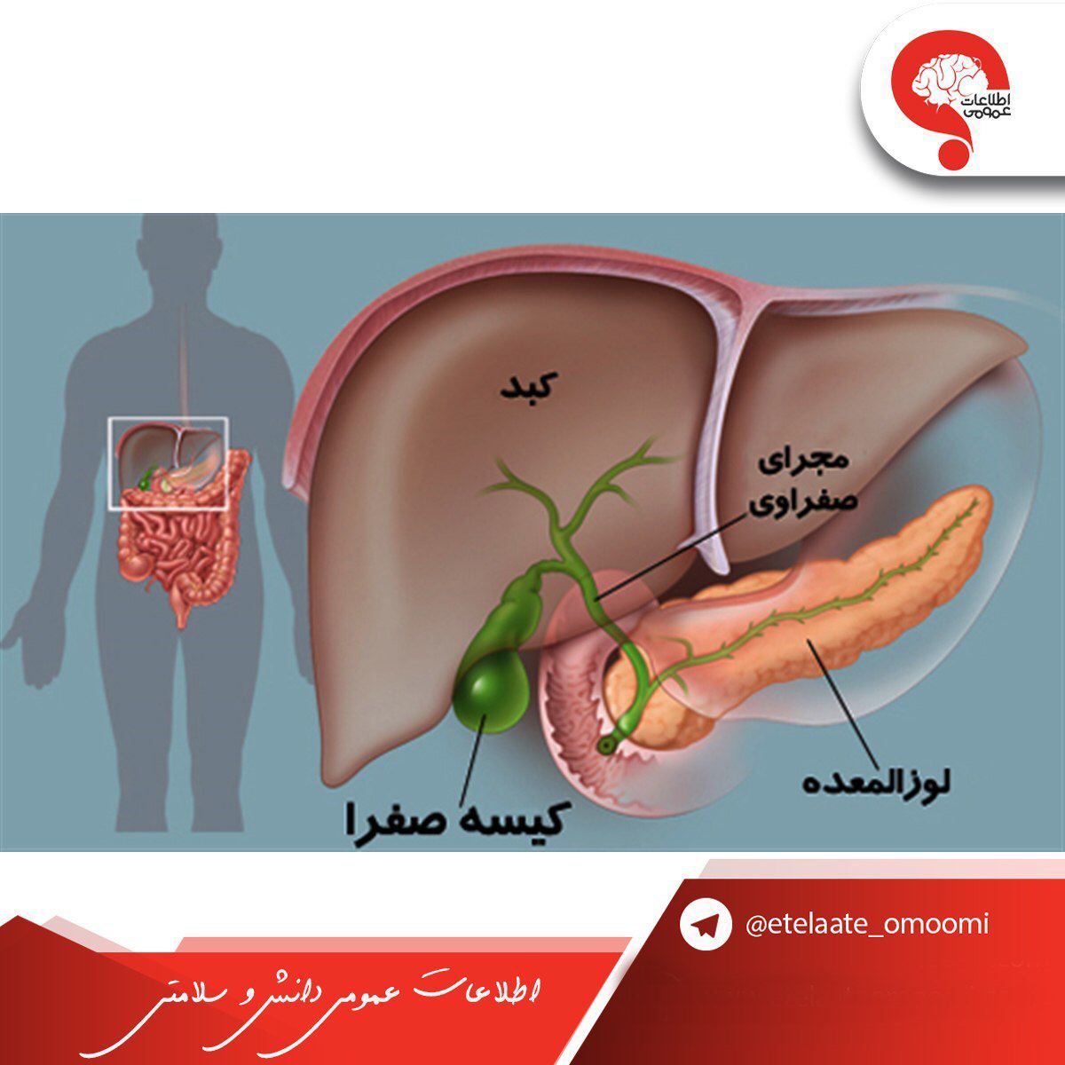 علایم بیماری لوزالمعده
