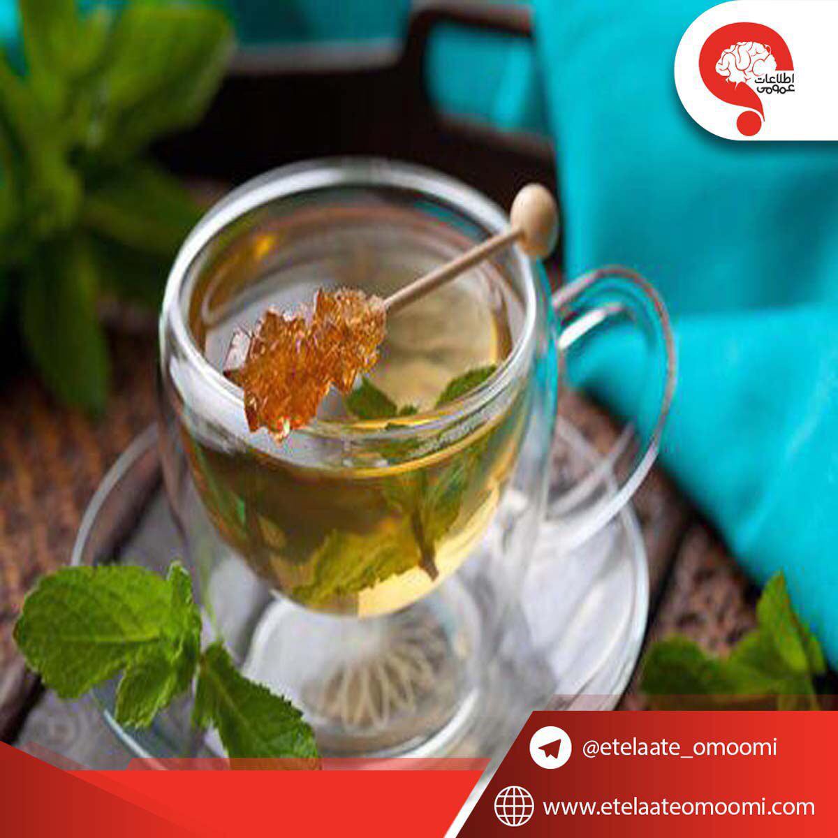 چای نعناع جایگزین نوشیدنی سرد در فصل گرم