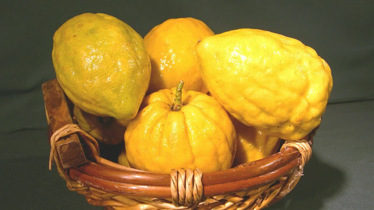 خواص میوه بالنگ
