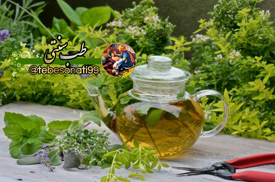 روش برگرداندن حس بویایی