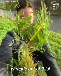 ساخت کاغذ از پسماند چمن 